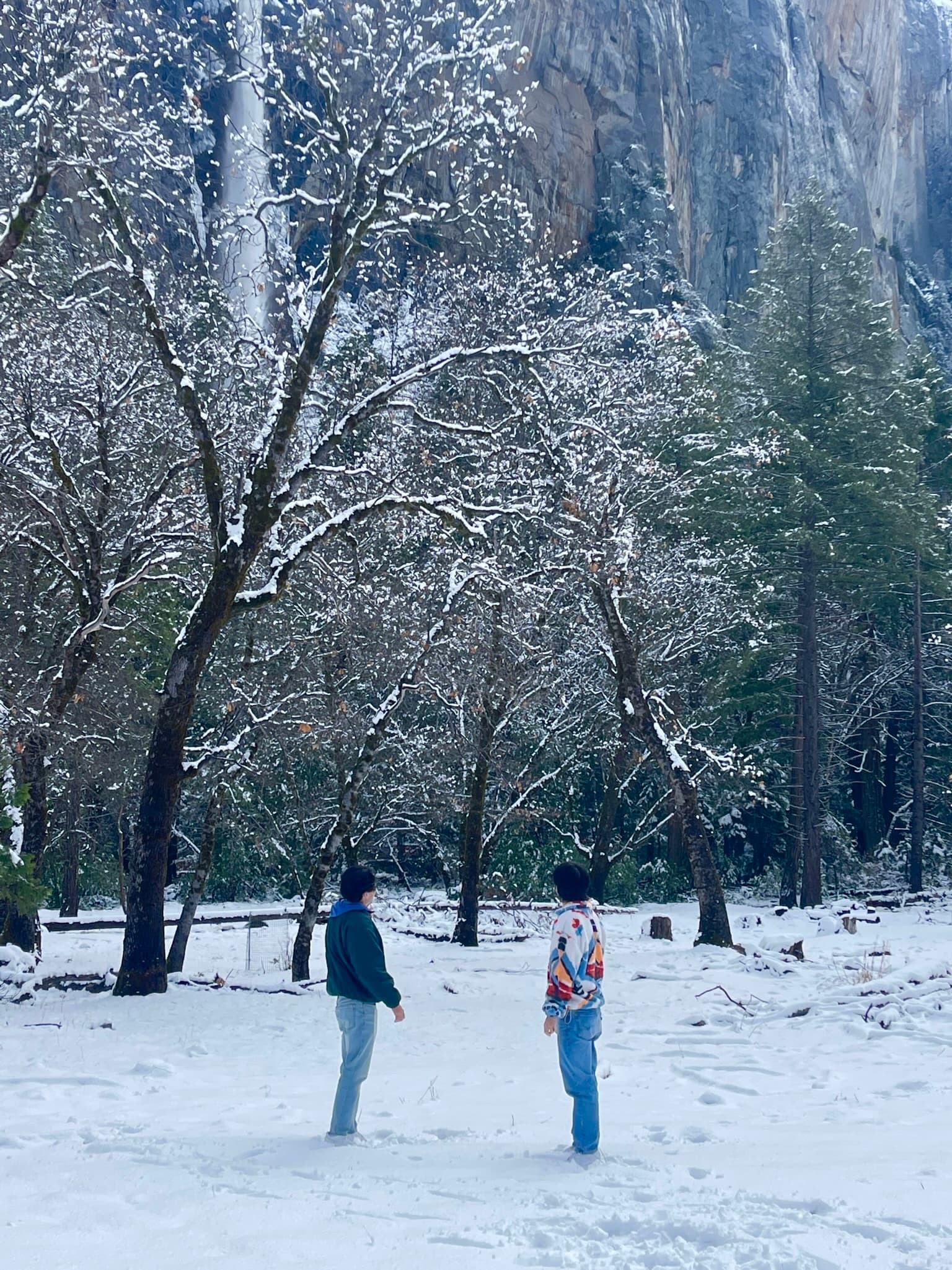 Yosemite National Park